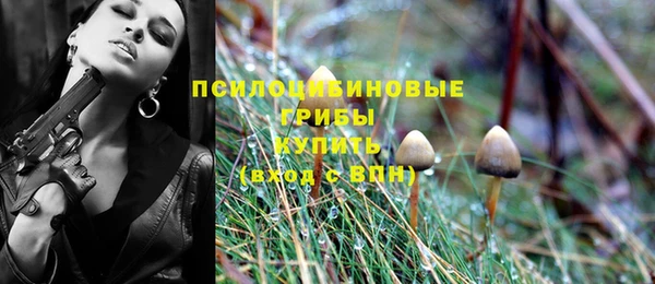 ешки Абдулино
