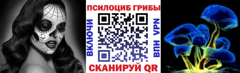 где найти наркотики  Нальчик  Псилоцибиновые грибы MAGIC MUSHROOMS 